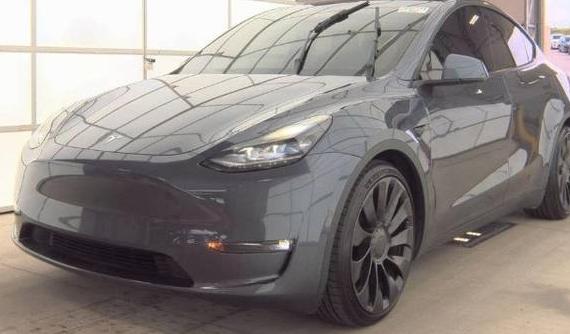TESLA MODEL Y 2021 5YJYGDEF4MF305219 image